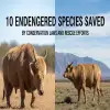 10 Endangered Species Saved by Conservation Laws and Rescue Efforts
