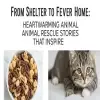 From Shelter to Forever Home: Heartwarming Animal Rescue Stories That Inspire