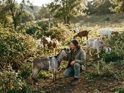 Human-Animal Bonds: The Surprising Way Goats Are Helping Clear Invasive Weeds Sustainably